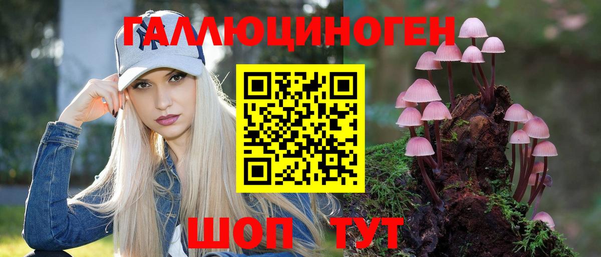 Галлюциногенные грибы GOLDEN TEACHER  Вход с VPN  Александров 